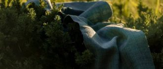 Готовые бизнес-планы по сельскому хозяйству с расчетами
